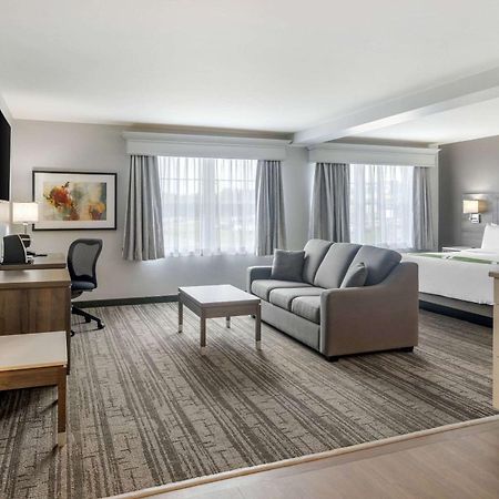 פרדריקטון Quality Inn & Suites Amsterdam מראה חיצוני תמונה