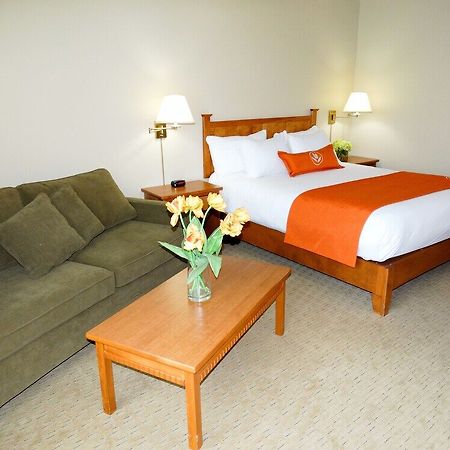פרדריקטון Quality Inn & Suites Amsterdam מראה חיצוני תמונה
