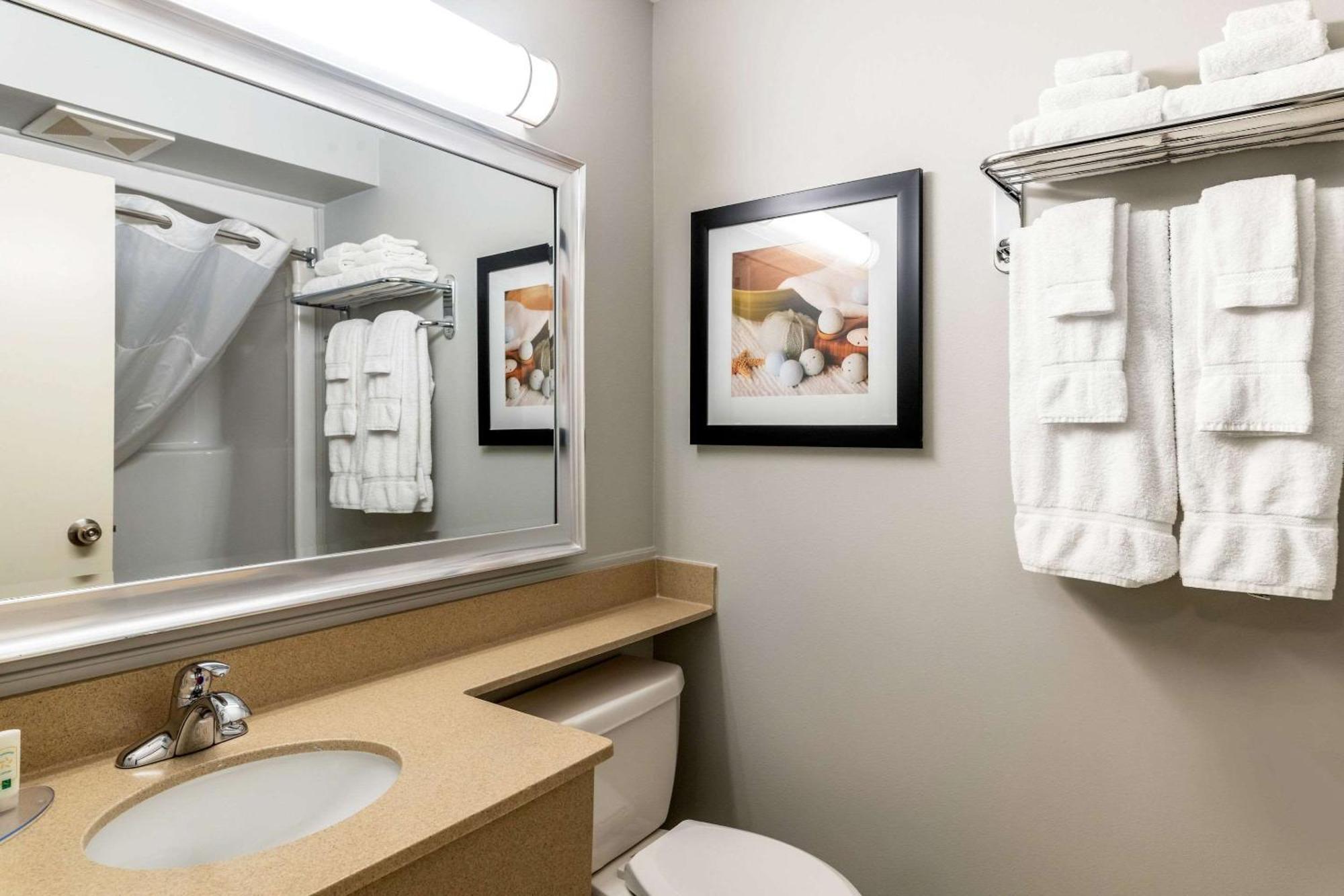 פרדריקטון Quality Inn & Suites Amsterdam מראה חיצוני תמונה
