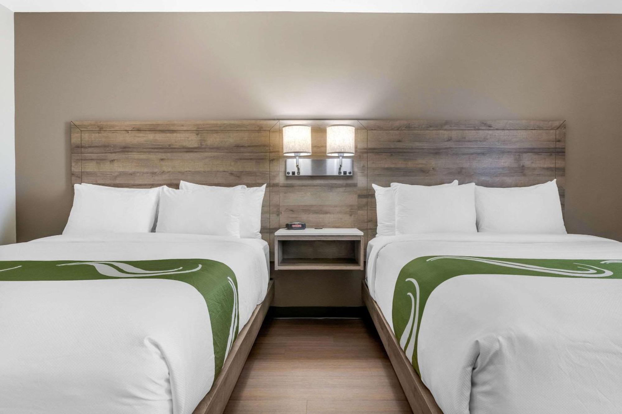 פרדריקטון Quality Inn & Suites Amsterdam מראה חיצוני תמונה