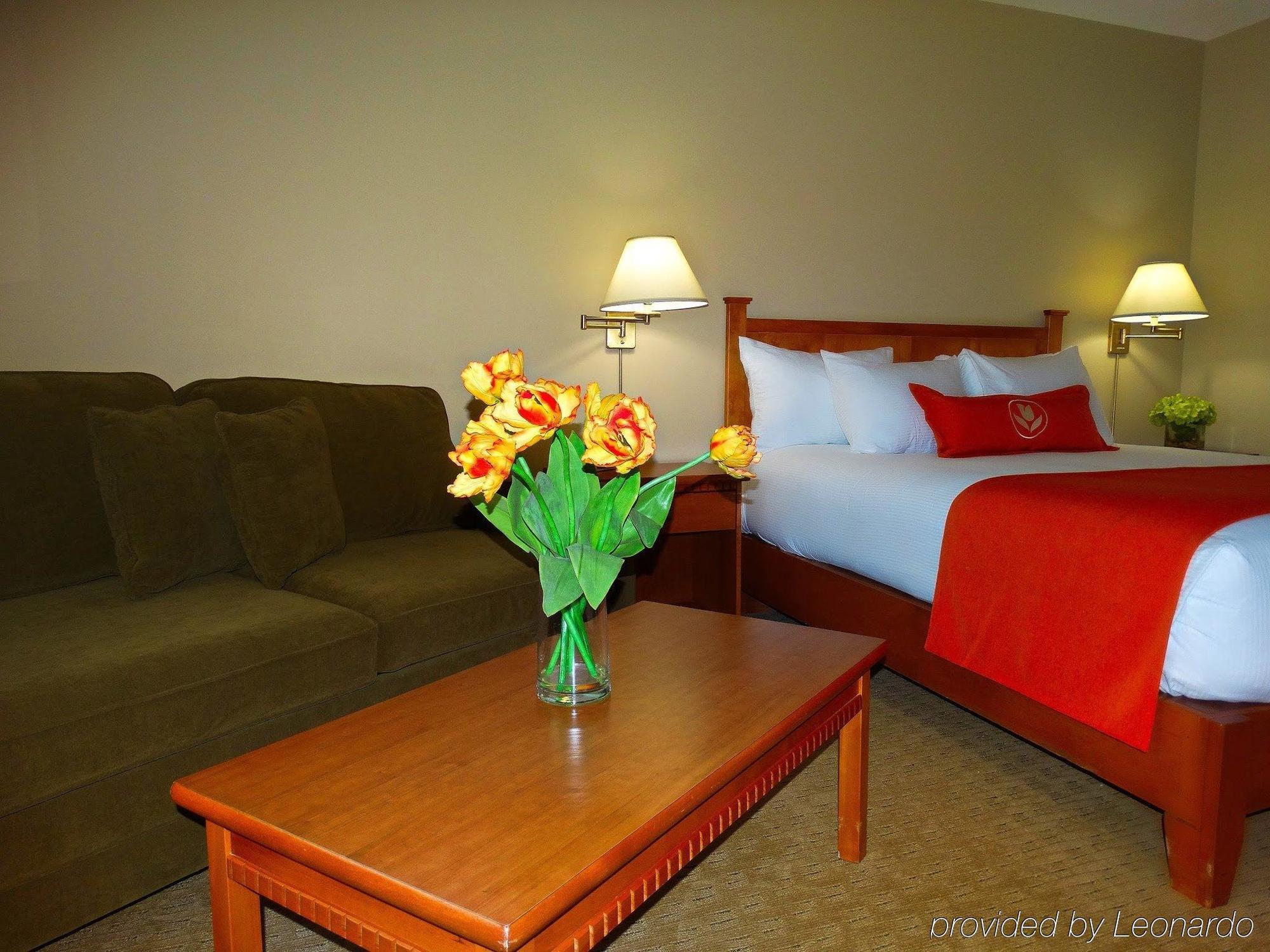 פרדריקטון Quality Inn & Suites Amsterdam מראה חיצוני תמונה