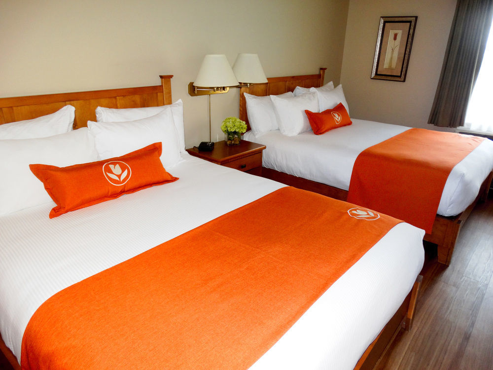 פרדריקטון Quality Inn & Suites Amsterdam מראה חיצוני תמונה