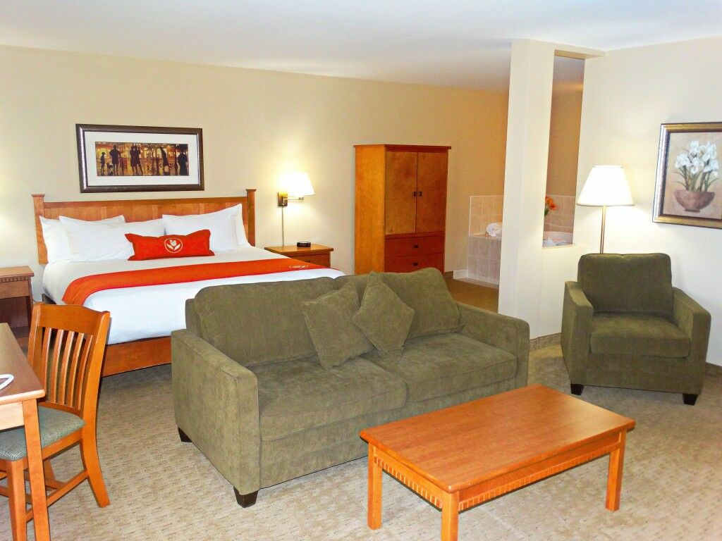 פרדריקטון Quality Inn & Suites Amsterdam מראה חיצוני תמונה